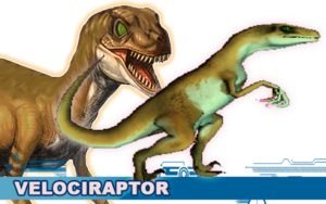 Velociraptor